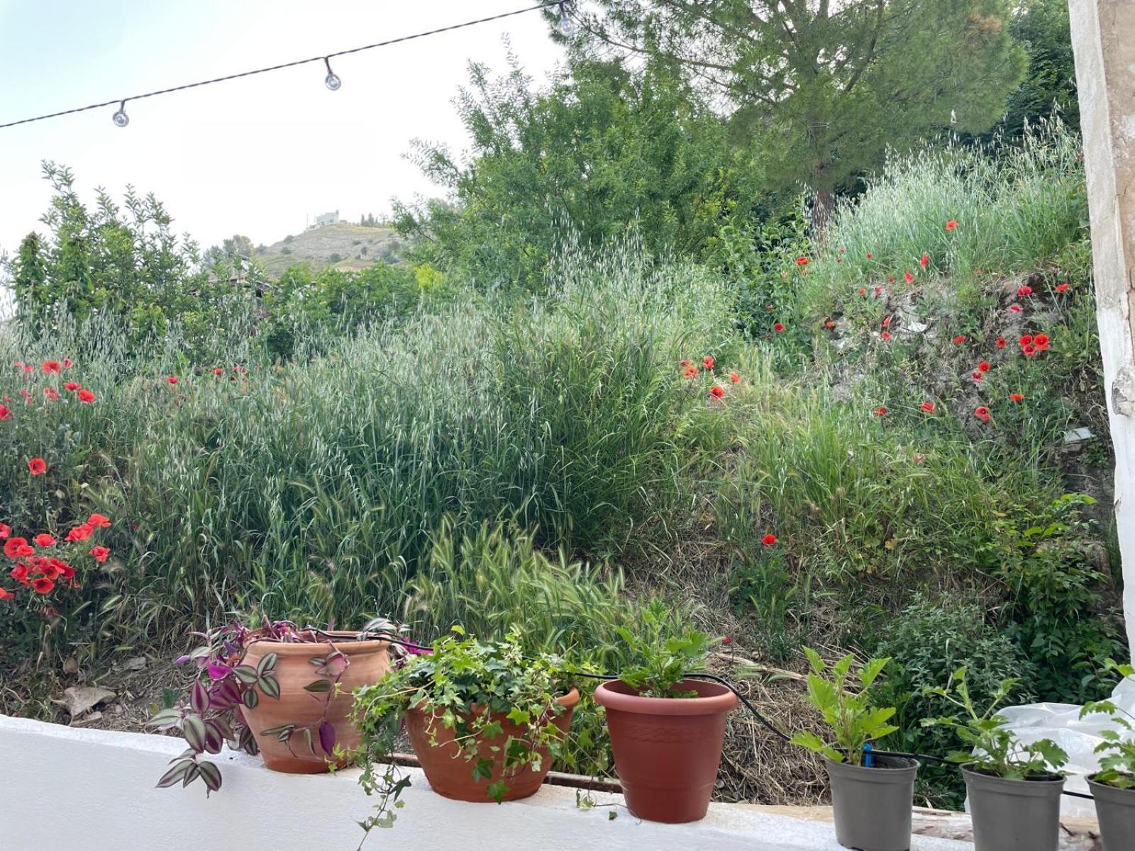 La Casita Azul Villa Cazorla Eksteriør billede